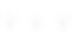 3Blaze Logo